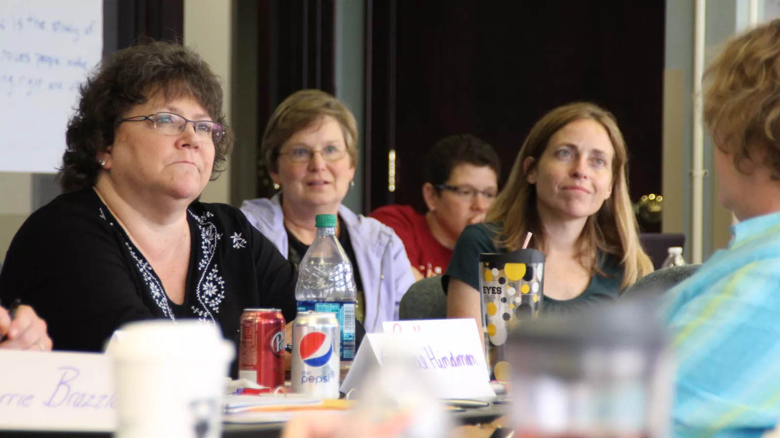 ISEA Academy Professional Development